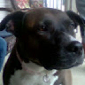 Meet your Posher, Isaiah